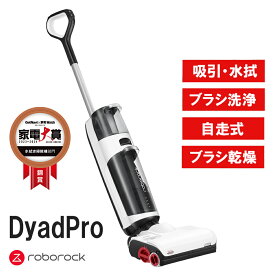 Roborock ロボロック DyadPro 多機能スティック型水拭き掃除機 WD2H1A01-08
