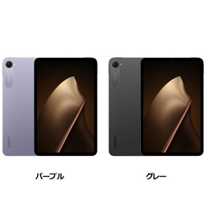 Xiaomi Pad mini VHU6025JP/VHU6047JP 8.8^ Wi-Fi 8GB/256GB