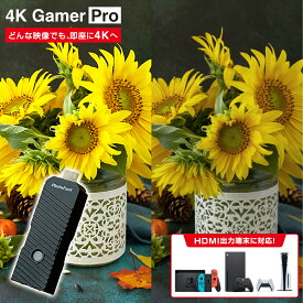 4KGAMERPRO モニタアダプタ 画質きれい キャプチャー USB 4K画質 スイッチ Nintendo Switch Switch Play Station ゲーム プレステ アニメ スポーツ
