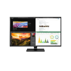 LG Electronics Japan 42.5型 4K IPSモニター ブラック