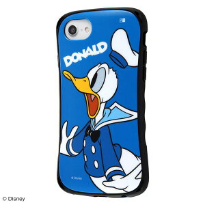 ray-out iPhone SEi2j/8/7/6s/6 fBYj[LN^[/ϏՌP[X Curve hih RT-DP25SC4/DD