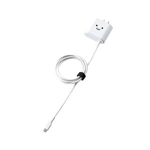 GR AC[d/Type-CP[ǔ^/2.4Ao/1.5m/zCgtFCX MPA-ACC01WF