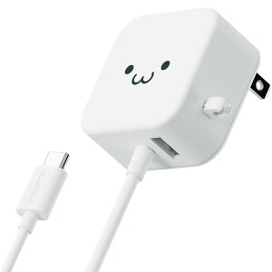 GR ELECOM AC[d/USB-C/P[ǔ^/USB-AX1|[g zCgtFCX