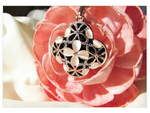 IUHA K^Ă lt LbcAClbNX XtXL[NX^gp AM[ƕϐFh~ ANZT[ Mtg ,92iuhav