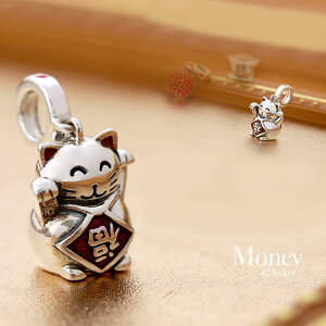 (CEn) IUHA yLzlbNX Vo[@XtXL[АNX^@y_g@K^@l@AM[ƕϐFh~