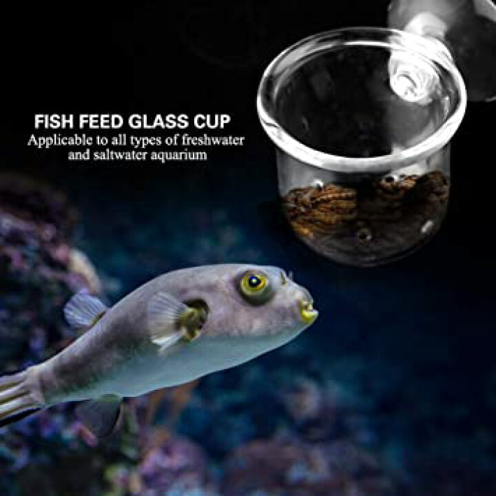 楽天市場 Pssopp 水槽用 フィーダーカップ 水槽 ワームフィーダ 水槽用 餌入れ 餌やり器 給餌器 熱帯魚 取り外し可能 魚エサ皿 吸盤付き アクリル 水族館 水槽 魚タンクに最適 アクアリウム 手軽 赤虫 赤いみみず 水槽用 ワームフィーダ S Trend Item Shop 楽天市場 Pssopp 水槽用 フィーダーカップ 水槽 ワームフィーダ 水槽用 餌入れ 餌やり器 給餌器 熱帯魚 取り外し可能 魚エサ皿 吸盤付き アクリル 水族館 水槽 魚タンクに最適 アクアリウム 手軽 赤虫 赤いみみず 水槽用 ワームフィーダ S Trend Item Shop