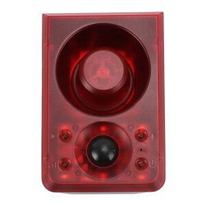 \[[A[Xg{CgA̖tCX[VZT[A[Az[B_̔[p3[hZLeBxVXeAIP55h