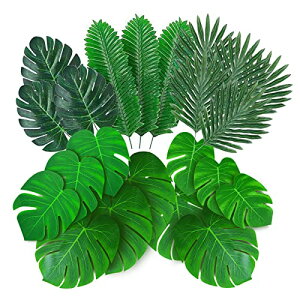 siawadeky Xe̗t 66Zbg tFCN[t V̗t \ec̗t nCe[} lHϗtA Mт̗t lHt p[eB[ fR[V CeA ̑ Be