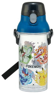 XP[^[(Skater) qp NA  480ml vX`bN NA{g qp { |P 25 j̎q PSB5TR