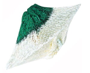 R[}(Coleman) }g 51^ 2 ^eiX 51102JX