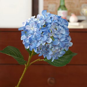 siawadeky AWTC  3{Zbg VNt[    ͂Ȃ }`bN A[gt[ ʐ^wi Be lH Mtg j ԑ