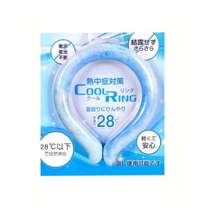 Ice lbNN[[ 2025N 19x16x2.2cm 28 N[O N[lbNO PCM  p ЂObY pObY l q MǑ΍ ΍ObY O Lv AEghA (