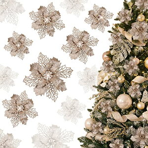 GWHOLE NX}X  I[ig |CZ`A 21Zbg NX}Xc[ NX}X[X  t  LL  X 