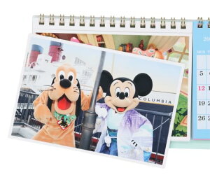 yfBYj[][gzJ_[ 2026(ߘa8N) ~bL[}EXƒԂ jn܂ TDR lC yY v[g fBYj[ ObY (1)