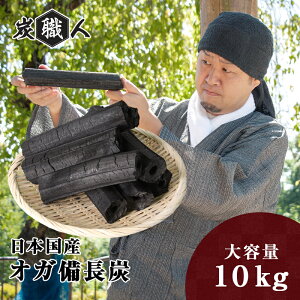 IKY Y 10kg YEl IKY ԔR Η Y IK Y i Ă ē Lv \Lv o[xL[ BBQ HX Ɩp AEghA ؒY  ͘F  