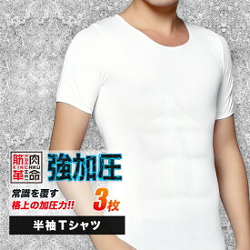 新型 加圧シャツ 加圧 シャツ 3枚セット 加圧インナー 加圧 半袖 Tシャツ メンズ インナー 体幹筋 お腹 引締め メンズインナー ウエスト 背筋 姿勢 アンダーシャツ 筋力サポート スポーツ インナー【筋肉革命】【meru】