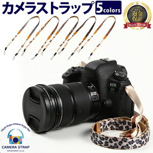 10X^[g_bVC JXgbv X  | J Xgbv ჌t RfW ~[X ꉟ  Jxg fWJ  킢   