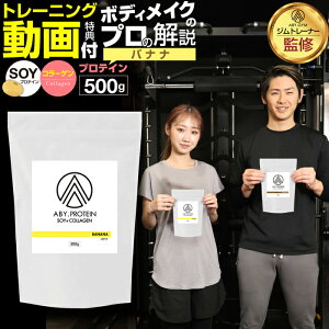 10%OFFN[|{ y3܂ƂߔZbgz ABY PROTEIN \C×R[Q veC | R[Q R[Qyv`h veC _CGbg N  哤 n₷ Tv