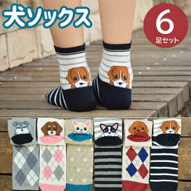 【最大15%OFFクーポン】 暮labo 福袋 2026 靴下 6足セット 犬 犬柄 イヌソックス かわいい ボーダー ショートソックス いぬ 靴下 くつ下 ソックス カジュアル 人気 アーガイル 肉球 ランキング 春 夏 秋 冬 女性 レディース 子供 送料無料 ギフト プレゼント ポイント消化
