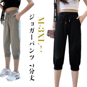 {gX  pc fB[X  W[W  XEGbgpc Nbvhpc n EGXgS X|[cEFA ? WK[pc r 傫TCY   V