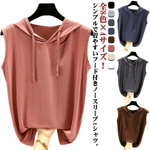 n Jbg\[ t[ht m[X[u TVc TVc tVc fB[X gbvX   _[n i p[J[ vI[o[ X|[cEGA xXg t C[h 