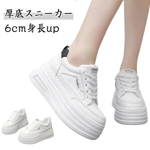  Xj[J[ 6cm gup fB[X Cq[Xj[J[ EH[LOV[Y q[Abv C _CGbgXj[J[ PUU[ JWA   ₷ Vv NbV