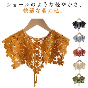 fB[X V[ [X   40 | t HD  V[g gbvX  s[X Ă΂ 񎟉 p[eB[hX I |` v[g Mtg 30