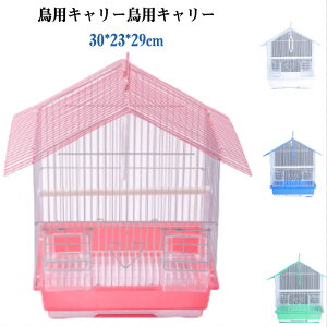 Vv   ybg hCu P[W  ^ ^ ړ   ~܂胊O L[P[X ZLZCCR CR P[W  U Q[W o a