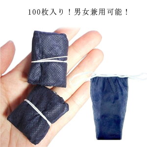 ĝĎV[c ĝăpc fBX| pc 100 y[p[V[c g ĝ vȑf V[c 100 Y  s jp V[c y[p[TobN GXe