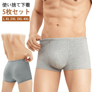 ĝăpc 5 {NT[ L-4XL jp pc ĝĉ Y Y p jp @ s 傫TCY h  ЊQ  TEi W GXe ĝ ʕ 