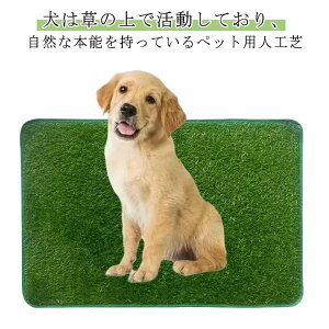 p ybggC ybgpi }bg lH gCV[g ybgp lHŃ}bg gC}bg p 􂦂 ybgV[g ~ EOp ėp\ gCP