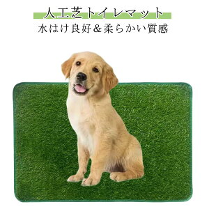 q ybgp ybgV[g  }bg pgCg[ ybggCV[g 􂦂 gC}bg ՔM ybggC gC lHŃ}bg p q ybgpgC pgC