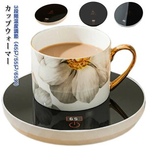 ݕp JbvEH[}[ 55 JbvEH[}[ 45 É ۉR[X^[ 3ix 65    MR[X^[ hNEH[}[ RpNg ItBX Q