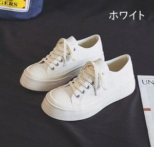 Xj[J[ fB[X Y V[Y Xj[J[ Ȃ EH[LOV[Y    킢 lC C y Xj[J[ ubN zCg r gAbv  r 