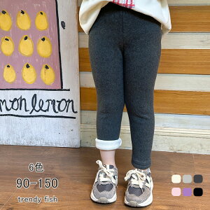 Xpbc LbY xr[ LbY Xpbc u qǂp WjA MX Ci[ ₷g Vv Rbg ct wZ w wN   2 6F ʉ ʊw 90 100 110 120 