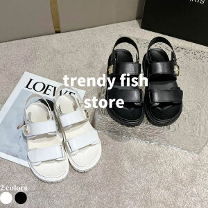 T_ fB[X X|[cT_ rT_ V[Y Ռz KȗSn ɂ X|[cT_ ₷  lC AEghA y r[`T_