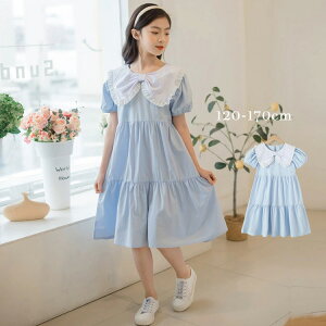 q s[X LbY u[  s[X G Vv 킢 LbY ̎q q ǂ  t ʉ ʊw v[g w  Ǝ  \  qǂ 