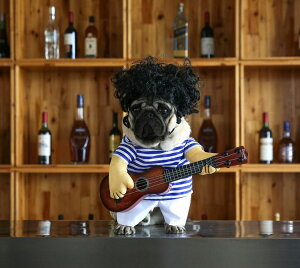 �y�b�g�E�F�A �p�[�J�[ �v���I�[�o�[ �n���E�B�� �R�X�v�� ���� �L�� �m�� �h�b�O�E�F�A �L���b�g�E�F�A ������ �n���E�B�[�� �p�[�e�B�[ �J�W���A�� ���� ���U�� ���o���� �y�b�g�� ����