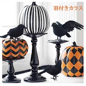 nEB  HtJX  JX H | | ͋C p[eB[ RXv COS  v[g Mtg  R~P NX}X RXv v[g   X DIY w