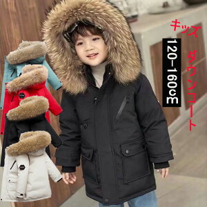 _ER[g LbY q _ER[g _EWPbg j̎q ̎q q LbY AE^[ ̎q j̎q ~p _EWPbg j  LbY h ~ AE^[ Wp[ 