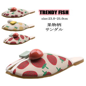 t[c T_ fB[X ؂  pCibv Xgx[ `F[  x_ s  y [q[ 킢 t[c T_ O Xb