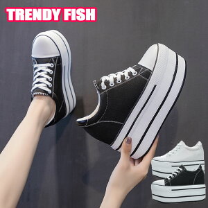 Xj[J[ Xj[J[ fB[X [Jbg  11cmUP Xj[J[ C tbgV[Y JWA ꂢ V[Y   ₷ fB[X l  Xj[J[ n 