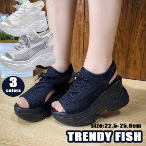 X|[cT_ T_ fB[X  Ȃ Xj[J[   DF X|T T_  ʋC bV  R C ₷ y fB[X   l  