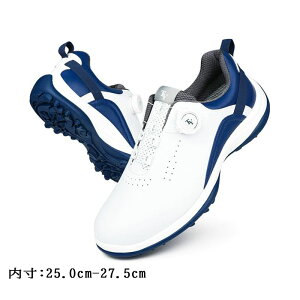 St V[Y Y _C Y h XpCNX ϊ XpCNXV[Y StC Xj[J[ 傫TCY L tBbg y ₷ ϋv K ɂ 