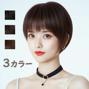 ウィッグ ふんわり やわらか丸みボブ 自然 普段使い ショート 耐熱 ボリューム フルウィッグ フルウイッグ ベージュ ショート 前髪あり 前髪なし 医療用 医療 女性 女性用 カツラ 抗がん剤