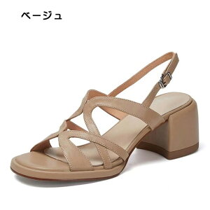 q[ T_ fB[X 5cm  q[ AEghA q[T_ nCq[ Xgbv ItBXT_ }}T_ ʋC ʊw ₷ ɂ Vv t r r[`