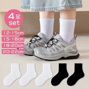 [ C LbY q xr[ \bNX 4Zbg j̎q ̎q n ubN zCg   X^_[h M[ ~h\bNX C N[  w  ObY 