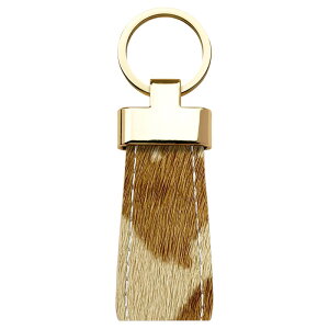 X}[gL[O {v l nR L[z_[ obO`[ {vL[O v U[  JM fB[X v  Aj}