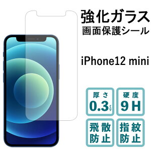 iPhone 12 mini �����K���X�t�B���� �t���ی� �ی�t�B���� �d�x9H �w��h�~ ��U�h�~ ��� �f�B�X�v���C �V�[�� �t�B���� �A�C�t�H�� iPhone12mini
