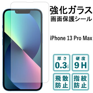 iPhone13 Pro Max KXtB tی یtB dx9H wh~ Uh~  fBXvC V[ tB ACtH iPhone13ProMax